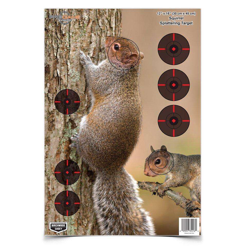 Targets Birchwood Casey Paper BIR 35406          PREGAME 12X18 SQRL REACTIVE 8PK